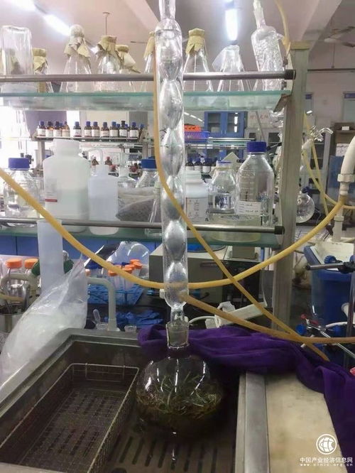 吉林柳河縣 以葡聚糖大米技術(shù)開發(fā)引領(lǐng)農(nóng)業(yè)升級，推動農(nóng)民持續(xù)增收